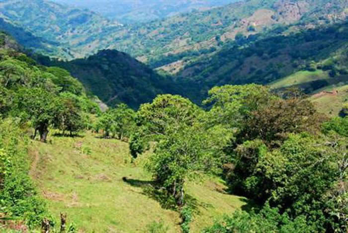 Esta finca de catorce hectáreas está situada en las afueras de Atenas. en Atenas, Alajuela — $990,000 - Foto 3 de 15