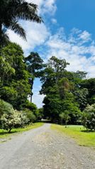 🌿 QUINTAS EN VENTA | NATURALEZA, ESPACIO Y TRANQUILIDAD en Jiménez, Pococí, Limón — ₡ 28 000 000 - Foto 4 de 13