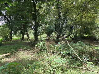 Finca de 4 hectáreas en Horquetas de Sarapiquí in Puerto Viejo, Sarapiquí, Heredia — 100 000 000 ₡ - Photo 4 of 18