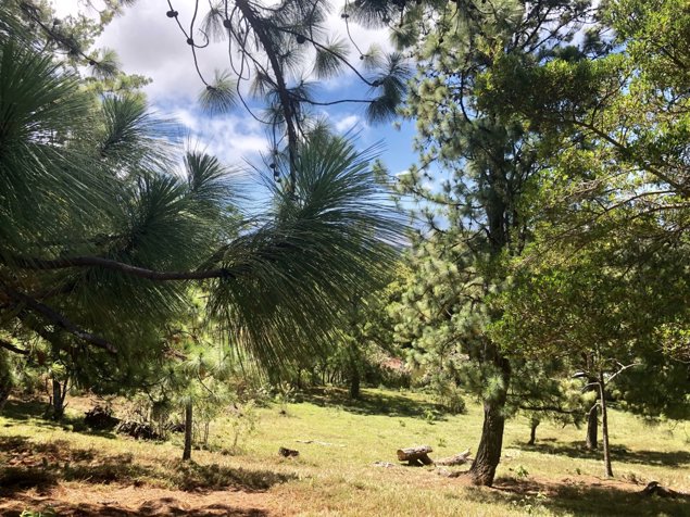 VENTA / Terreno en San Isidro de Heredia in San José, San Isidro, Heredia — $420,600 - Photo 3 of 29