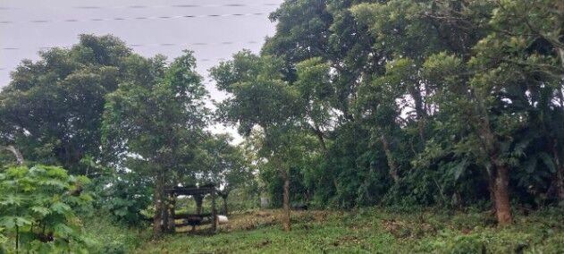 Lote en Los Angeles de Santo Domingo, 915 mtrs2 in Tures, Santo Domingo, Heredia — ₡ 75 000 000