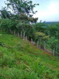 Gran oportunidad de inversión en San Jerónimo de Acosta, San José, Costa Rica. in Guaitil, Acosta, San José — ₡ 77 000 000
