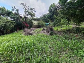 Venta de Lote en Mora-Colón, San José. RAH 25-1801 en Colón, Mora, San José — 96 000 000 ₡ - Foto 4 de 10