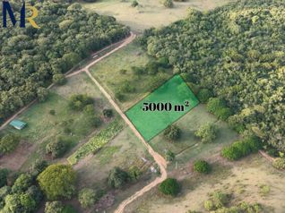 EL JOBO GUANACASTE 5.000 M² CERCA DEL MAR in La Cruz, Guanacaste — $100,000 - Photo 3 of 11