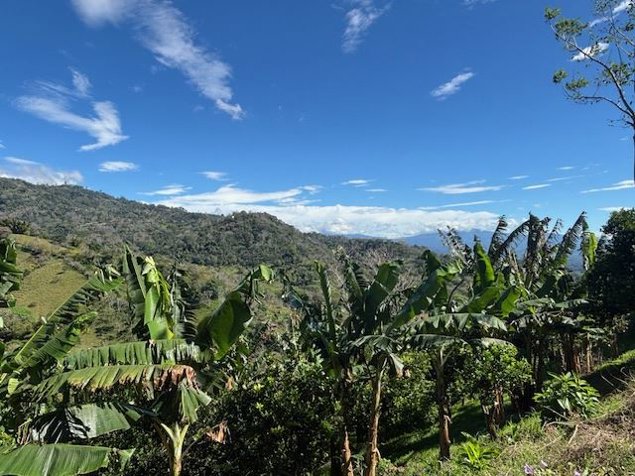 El lote perfecto para construir la casa de sus sueños en Atenas in Atenas, Alajuela — $49,000 - Photo 2 of 11