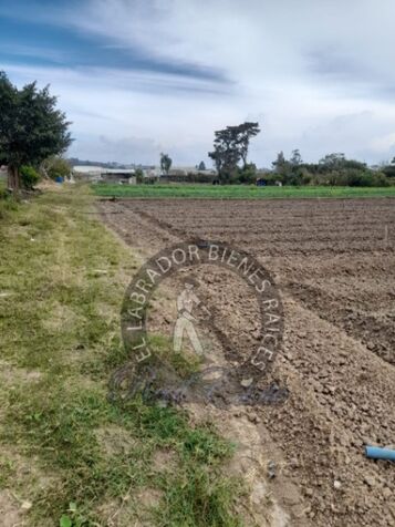 Se vende terreno industrial en la Lima de Cartago, 29637 m2, USD $4.300.000 in Occidental, Cartago — $4,300,000