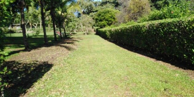 Espectacular terreno! Urge Vender. Se financia directo en Jesús María, San Mateo, Alajuela — ₡ 42 500 000