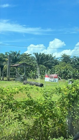 Más de 1 Hectárea en Venta en Parrita en Parrita, Puntarenas — ₡ 69 000 000 - Foto 3 de 9