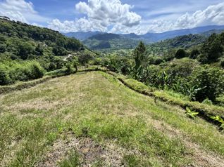 Venta de finca en Orosi, ideal para proyecto turístico en Orosi, Paraíso, Cartago — 140 000 000 ₡ - Foto 5 de 22