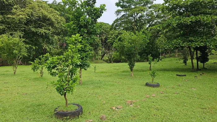 Bella finca de 34 Ha en Sabana Grande Nicoya en Nicoya, Guanacaste — ₡ 200 000 000 - Foto 3 de 17