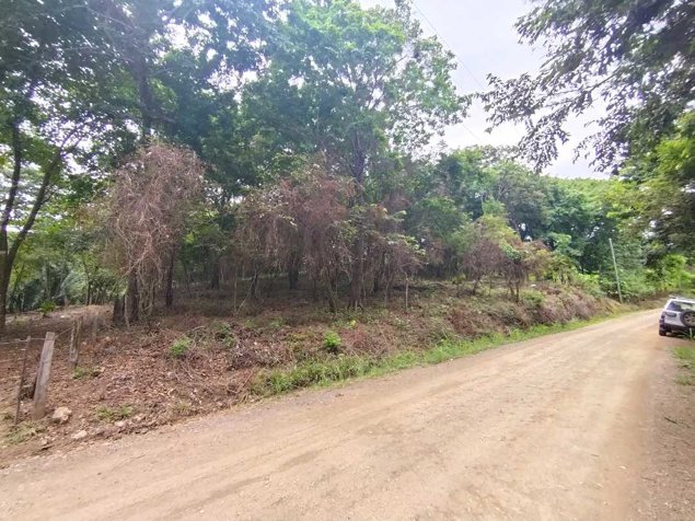 Ideal property for eco-development, 1 Hec 500 m to Marbella Beach en Santa Cruz, Guanacaste — $285,000 - Foto 3 de 17