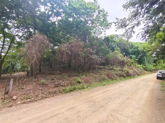 Ideal property for eco-development, 1 Hec 500 m to Marbella Beach in Santa Cruz, Guanacaste — $285,000 - Photo 3 of 17