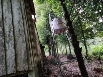 Hermosa finca  in La Tigra, San Carlos, Alajuela — 150 000 000 ₡ - Photo 5 of 13