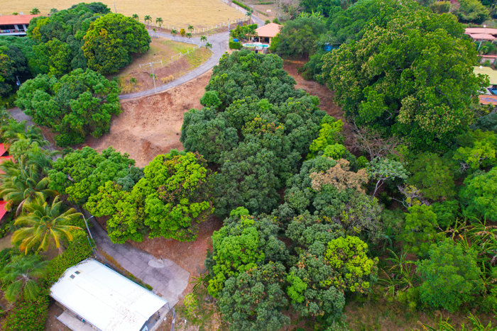 Lot for Sale in Atenas –  Spectacular Views in San José, Atenas, Alajuela — $65,000 - Photo 2 of 10