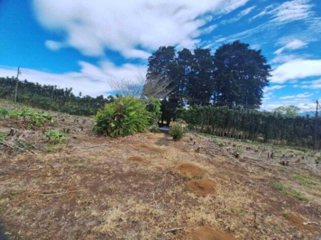 Venta de Lote en Barva-San Pablo-Heredia. RAH 26-1343 PRECIO REBAJADO en San Pablo, Barva, Heredia — ₡ 142 000 000