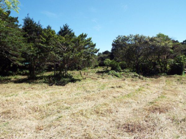 OPORTUNIDAD ÚNICA DE INVERSIÓN EN FLORES, HEREDIA in San Rafael, Heredia — $1,054,020