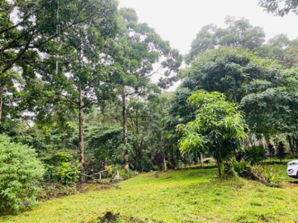 Propiedad a la venta en Buenos Aires, Guápiles en Guápiles, Pococí, Limón — ₡ 125 000 000