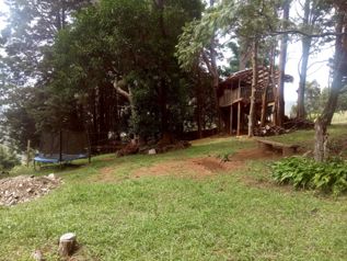 Venta de finca uso de suelo mixto en Naranjo - Photo 3 of 3