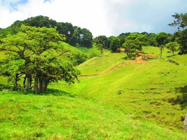 VENTA - Finca de 17 Hectáreas -  CARTAGO- PRECIO NEGOCIABLE en Patio De Agua, El Guarco, Cartago — ₡ 262 500 000