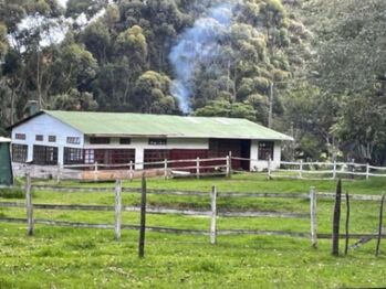 MLS-26-74 VENTA LOTE CON CASA DOTA SAN JOSE in Copey, Dota, San José — 125 000 000 ₡ - Photo 4 of 10