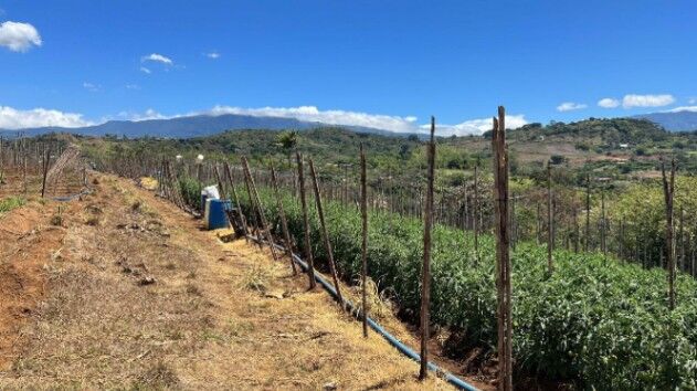 Venta de Lote de Terreno en Grecia, Alajuela / Mls. 24-121 OFC JB en Tacares, Grecia, Alajuela — $733,380