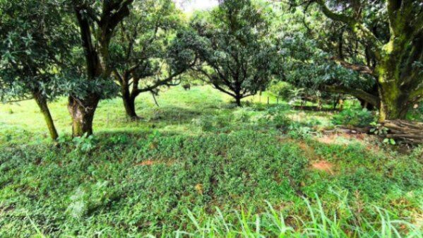 Venta de Lote en Esparza-San Rafael. RAH 26-1753 en San Rafael, Esparza, Puntarenas — $46,000