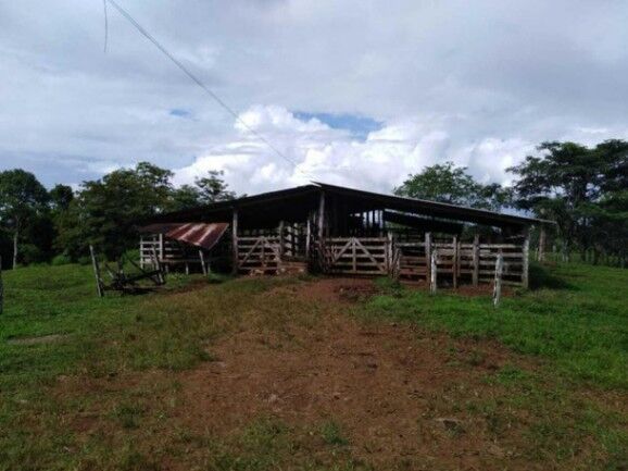 Se vende amplio lote de 180 hectáreas en Paso Real 23-1716 en Pocosol, San Carlos, Alajuela — $1,800,000
