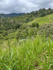 Finca con cabaña en Santa Rosa de Tayutic – 1.13 hectáreas en Tayutic, Turrialba, Cartago — 50 000 000 ₡ - Foto 5 de 8