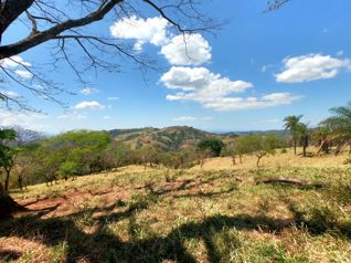 FINCA BARROETA - Una Finca de 16 Hectáreas (161,799 m²) in Atenas, Alajuela — $875,000 - Photo 5 of 24
