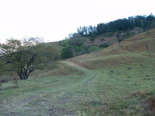 Se vende Terreno de 10.27 Hectáreas con Naciente, Vistas Ciudad Colón in Colón, Mora, San José — $2,400,000 - Photo 3 of 10
