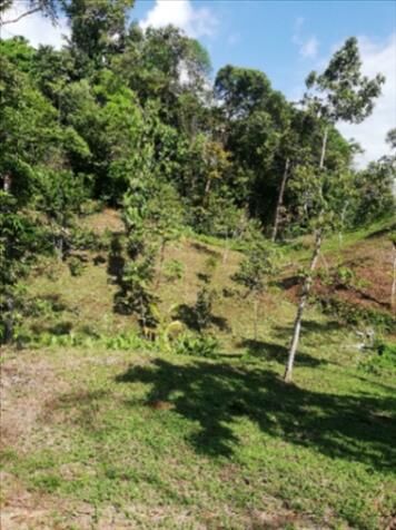 Se vende Lote en Zona Montañosa de Quepos en Naranjito, Quepos, Puntarenas — ₡ 280 000 000