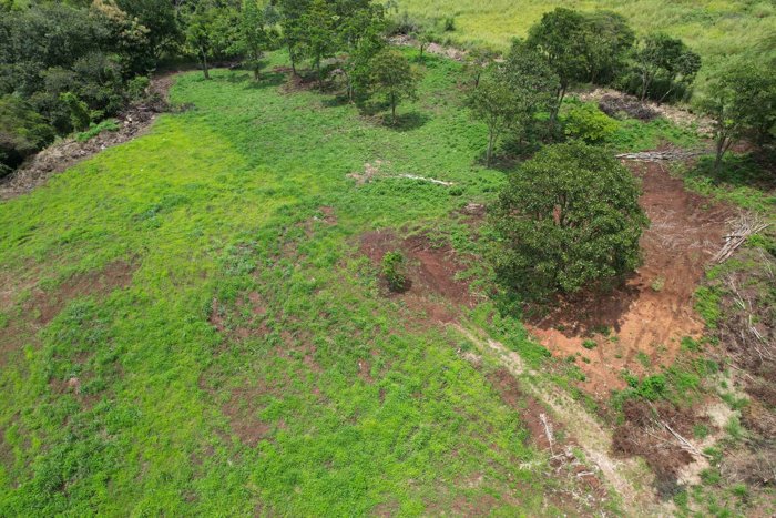 Commercial Land for Sale in La Argentina, Grecia en Mercedes, Atenas, Alajuela — ₡ 380 000 000 - Foto 2 de 16