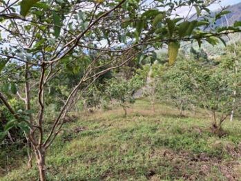 Venta de Lote en Turrialba-Cartago. RAH 26-1276 en La Suiza, Turrialba, Cartago — 27 000 000 ₡ - Foto 5 de 6