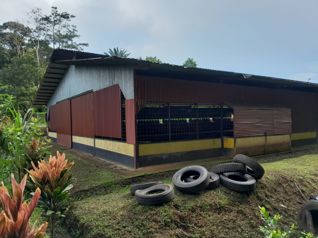 Propiedad en Sarapiquí con Potencial Turístico y Comercial in La Virgen, Sarapiquí, Heredia — $400,000 - Photo 4 of 18