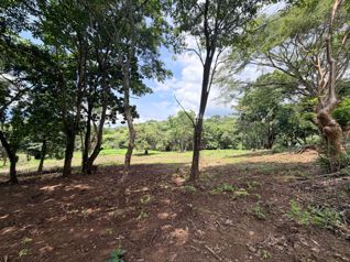 Hermosa Quinta en Residencial Villa Lapas Atenas en Escobal, Atenas, Alajuela — 191 000 000 ₡ - Foto 4 de 28