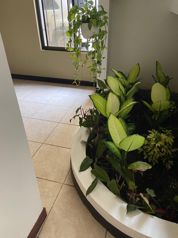 PARA INVERSION Propiedad con 2 apartamentos en Trejos Montealegre en San Rafael, Escazú, San José — $400,000 - Foto 5 de 19