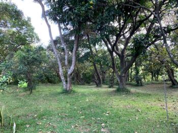 Se vende lote con uso de suelo comercial en Escazú San José 25-1353 en San Rafael, Escazú, San José — $2,400,000 - Foto 5 de 5