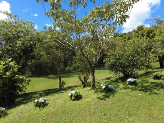 MLS-23-1488 VENTA FINCA CON CASA SANTA BARBARA HEREDIA en Santa Bárbara, Heredia — $600,000