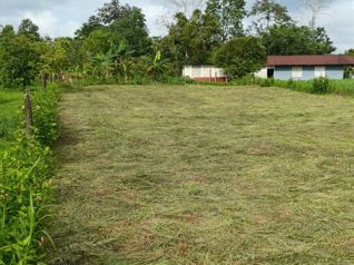 Venta de Lote Uso de Suelo Mixto, Heredia, Sarapiqui, Horquetas