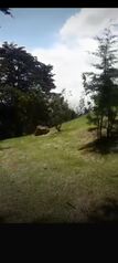 SE VENDE BELLÍSIMA FINCA EN SAN ISIDRO DE HEREDIA.  en San Isidro, Heredia — $400,000 - Foto 5 de 8