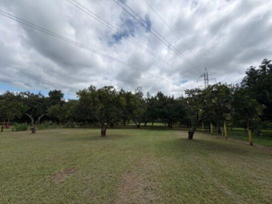 Venta de Lote en Orotina de Alajuela. RAH 26-1010 en Orotina, Alajuela — ₡ 95 020 000