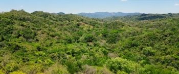 Excelente Inversion. en Cuajiniquil, Santa Cruz, Guanacaste — $15,149,540 - Foto 4 de 20