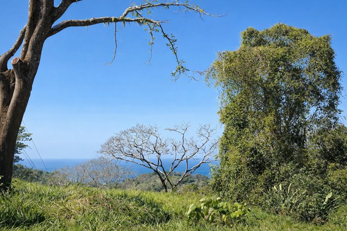 Lote con Vista al Mar y Pozo Inscrito en Brisas del Cabo in Cóbano, Puntarenas — $199,000 - Photo 2 of 6