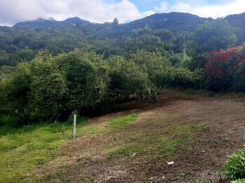 Venta de Lote en San Antonio de Escazú. RAH 25-1139 in San Antonio, Escazú, San José — $175,000 - Photo 4 of 12