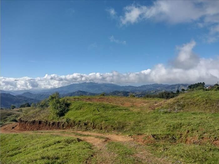 VENTA DE LOTE, SAN JOSE, LEON CORTES, CEDRAL en Desamparados, San José — ₡ 60 000 000