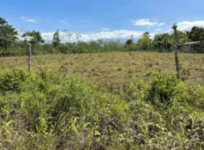 Lote de 1,000m2 en Guatuso, Llano Bonito.  en Buenavista, Guatuso, Alajuela — ₡ 14 000 000