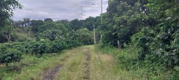 Lote en Los Angeles de Santo Domingo de Heredia, 915 mtrs2 in Tures, Santo Domingo, Heredia — 75 000 000 ₡ - Photo 4 of 6