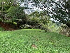 Oportunidad única! Adquiere este espectacular lote de terreno EN VENTA /OFI 25-590 en Atenas, Alajuela — ₡ 90 000