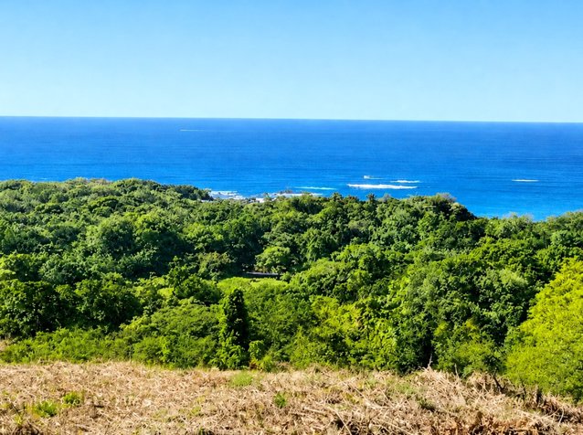 25 hectareas en Playa Marbella para desarrollo en Santa Cruz, Guanacaste — $3,300,000 - Foto 3 de 23