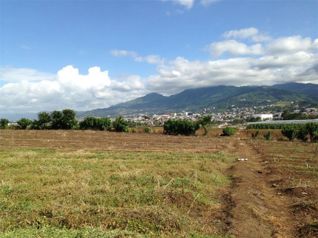 Perfect development property in La Asunción, Belén, Heredia — $395,000 - Photo 4 of 8
